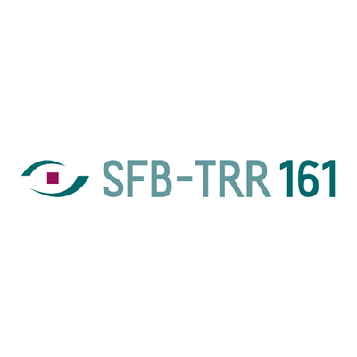 SFB-TRR 161.z6VuwtGb